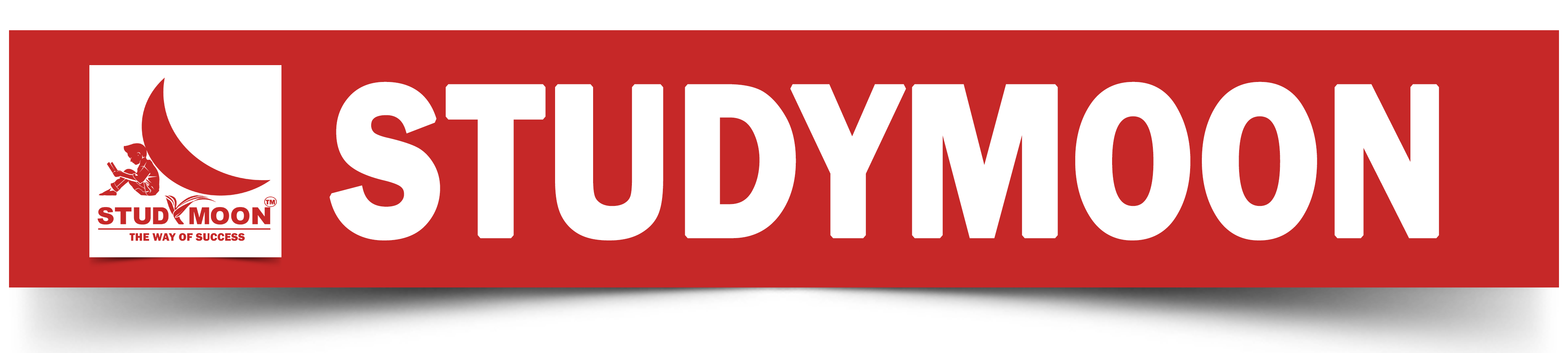 STUDYMOON LOGO