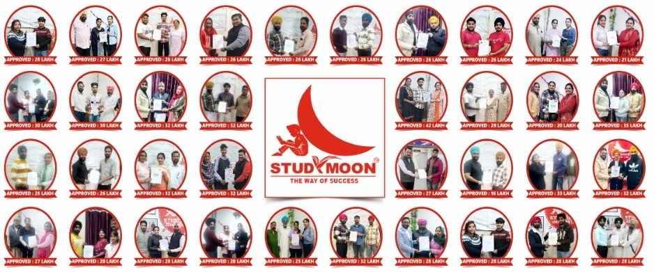 Studymoon Success Stories